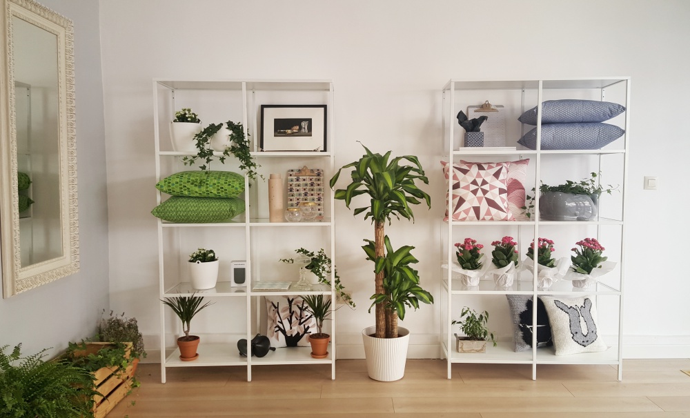 Novedades para el&nbsp;Verano